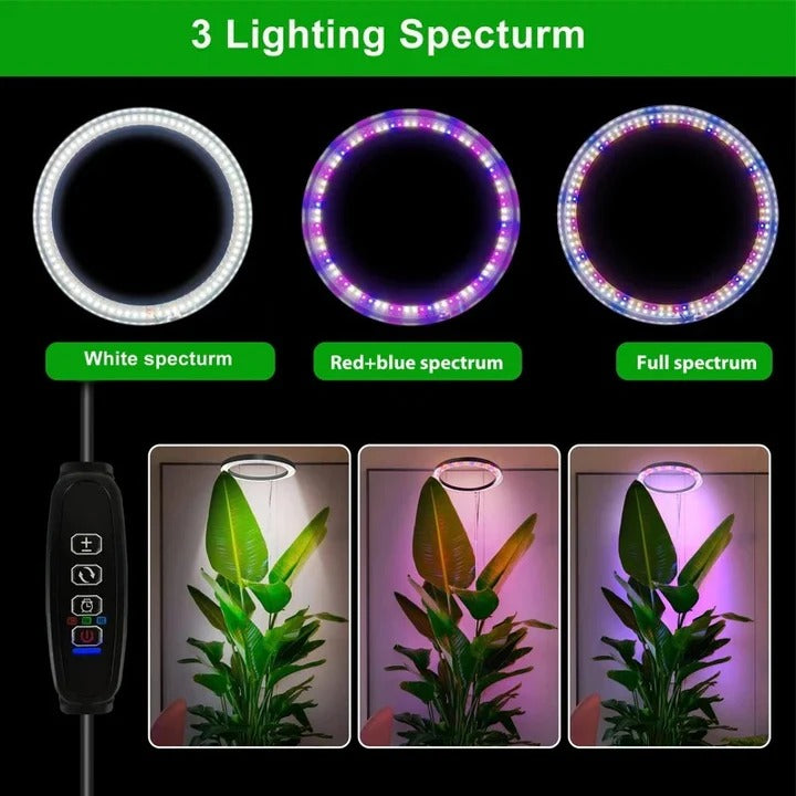 Full Spectrum Ring Grow Light with Adjustable Stand and Automatic Timer