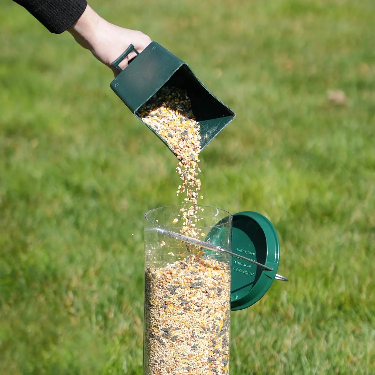 Squirrel Proof Bird Feeder with Hanging Mount and 5lb Capacity
