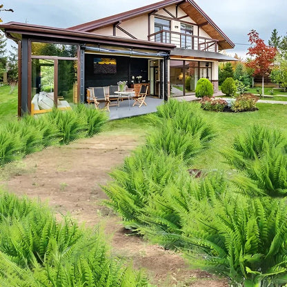 Artificial Outdoor Boston Fern with UV Resistant Polyethylene and 18 Flexible Branches