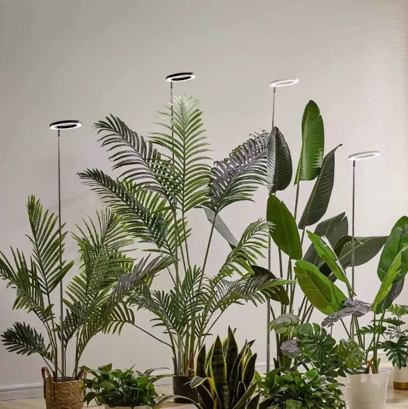 Full Spectrum Ring Grow Light with Adjustable Stand and Automatic Timer