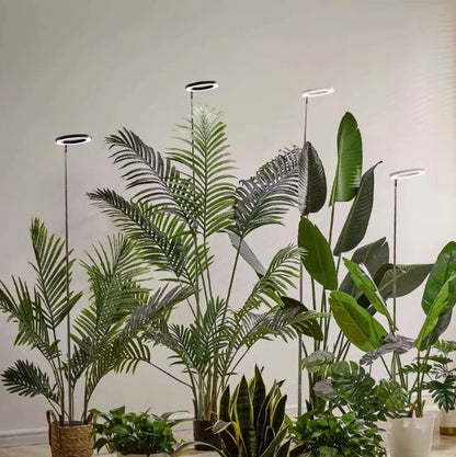 Full Spectrum Ring Grow Light with Adjustable Stand and Automatic Timer