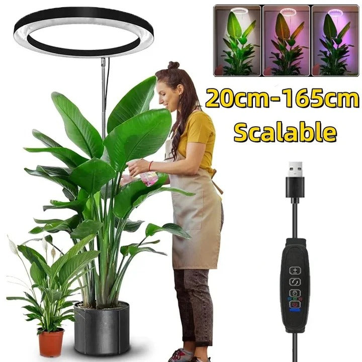 Full Spectrum Ring Grow Light with Adjustable Stand and Automatic Timer