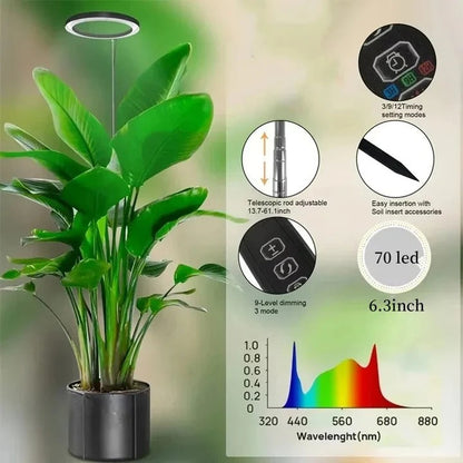 Full Spectrum Ring Grow Light with Adjustable Stand and Automatic Timer