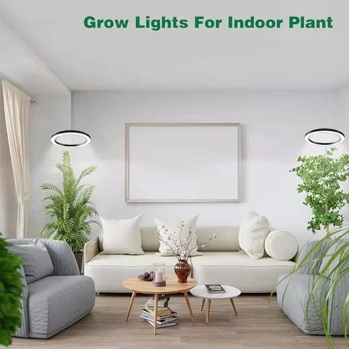 Full Spectrum Ring Grow Light with Adjustable Stand and Automatic Timer