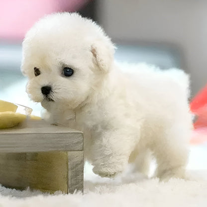 Interactive Robotic Puppy with Voice Commands and Touch Responses, Portable Toy for Kids