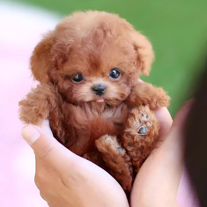 Interactive Robotic Puppy with Voice Commands and Touch Responses, Portable Toy for Kids